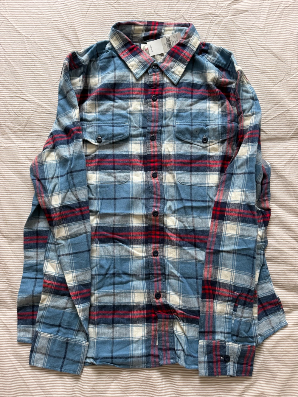 American Eagle Outfitters Blue Plaid Button-Down Shirt with Red Stripes